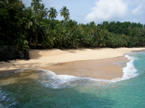Ilha do Príncipe (imagem retirada do site tartarugasmarinhas.pt)